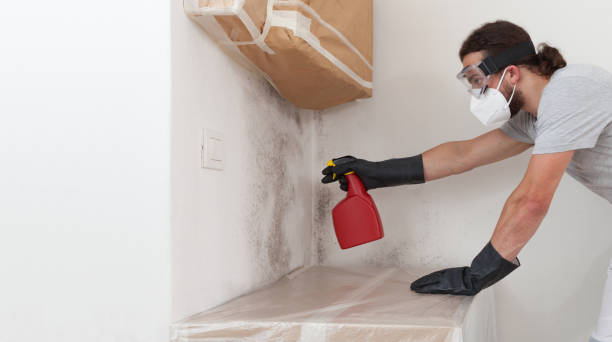 Professional Bathroom Mold Removal technician working in California, MD