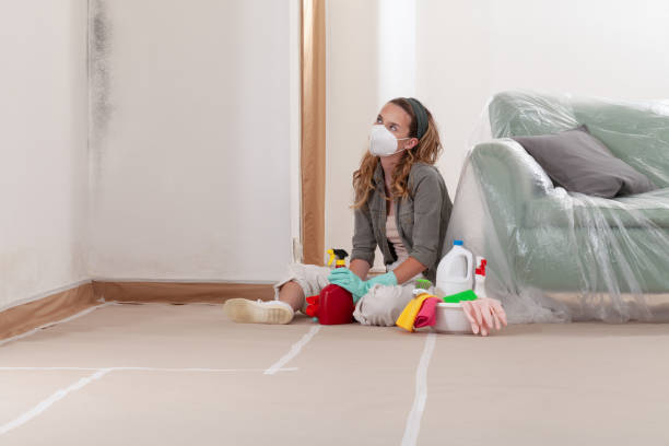 Reliable Bathroom Mold Removal contractor in California, MD by Mold Remediation HQ